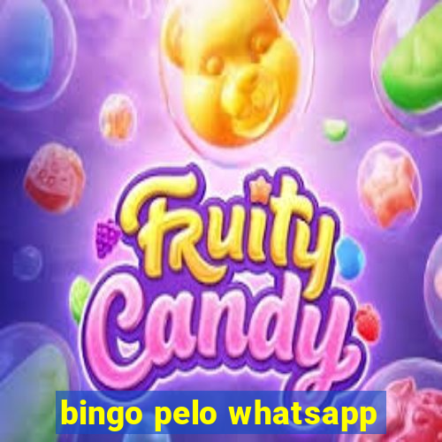 bingo pelo whatsapp