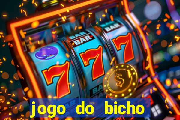 jogo do bicho crash bingo