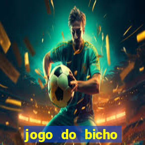 jogo do bicho crash bingo